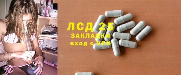 apvp Бородино