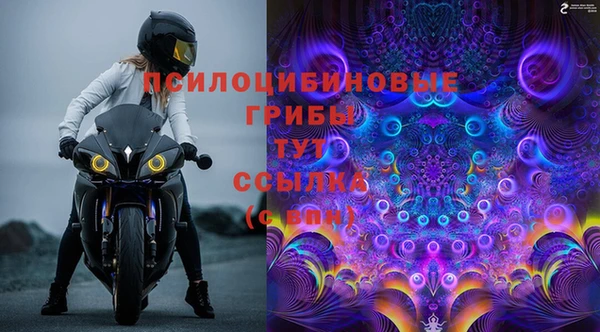 apvp Бородино