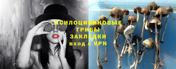 apvp Бородино