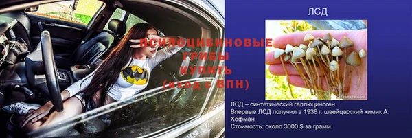 амф Бугульма