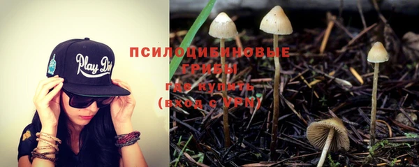 прущая мука Бронницы