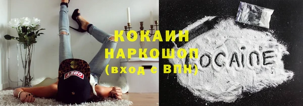 apvp Бородино