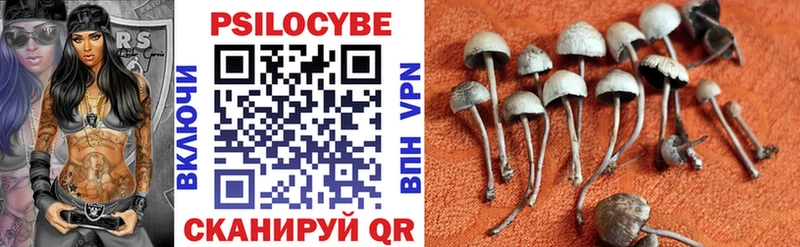где купить   Ясногорск  Псилоцибиновые грибы мицелий 